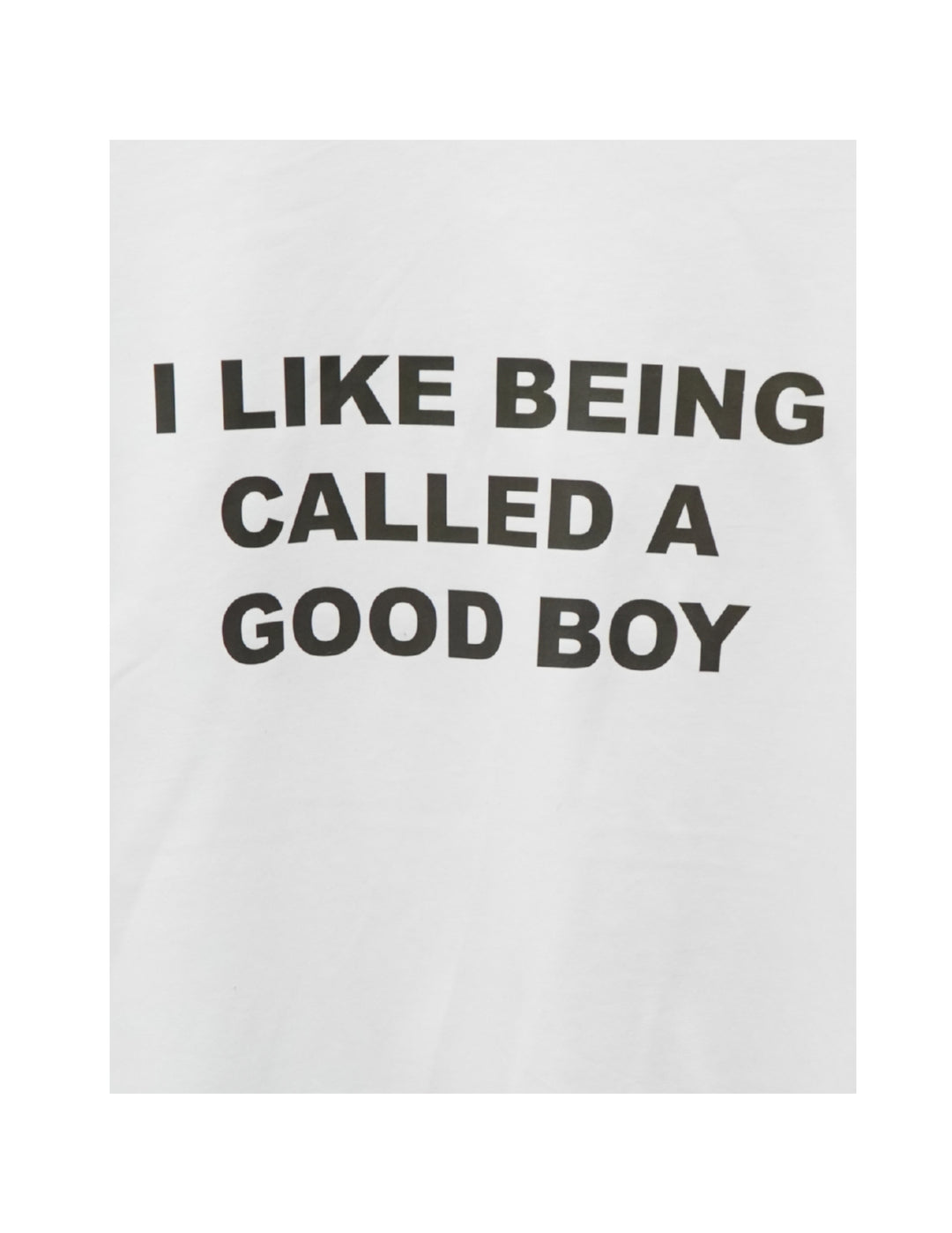 I Like Being Called A Good Boy Shirt