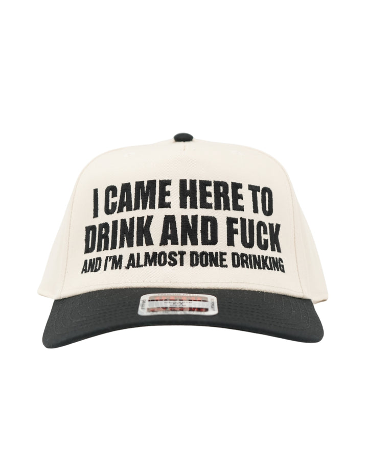 I Came Here To Drink And Fck Hat