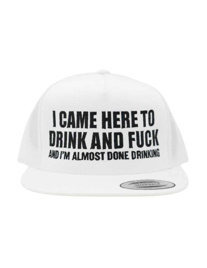 I Came Here To Drink And Fck Hat