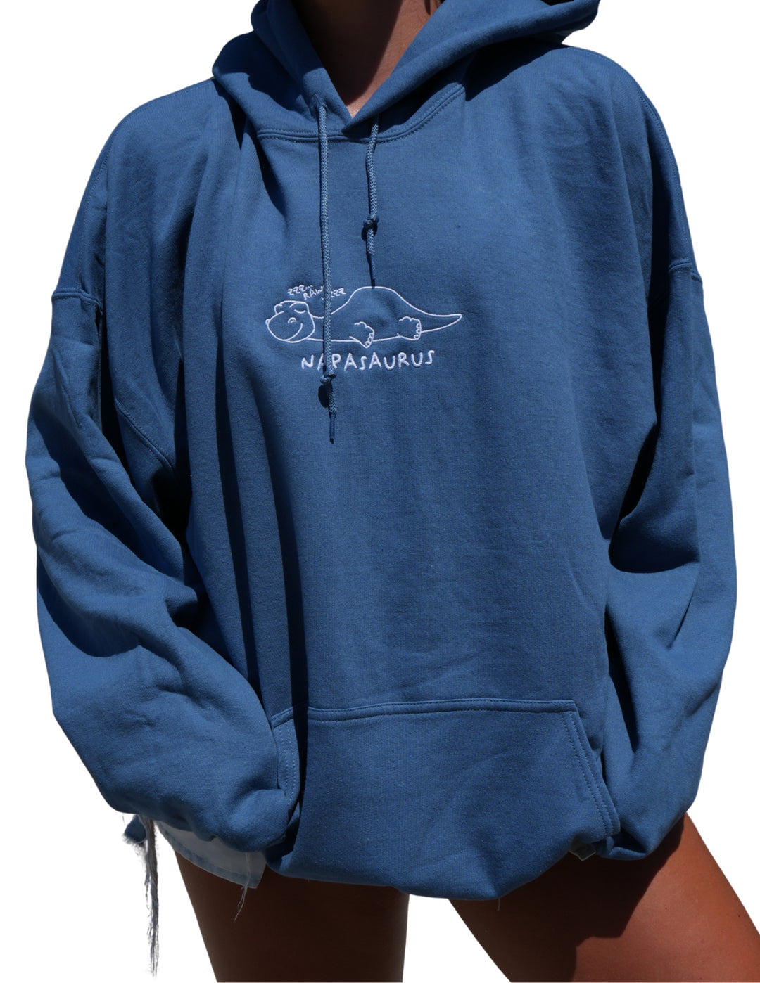 Napasaurus Embroidered Hoodie