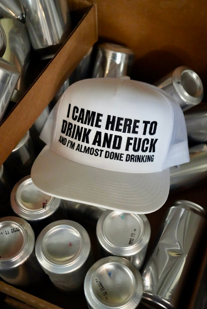 I Came Here To Drink And Fck Hat