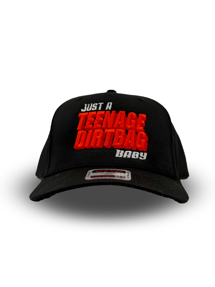 Just a Teenage Dirtbag Baby Hat