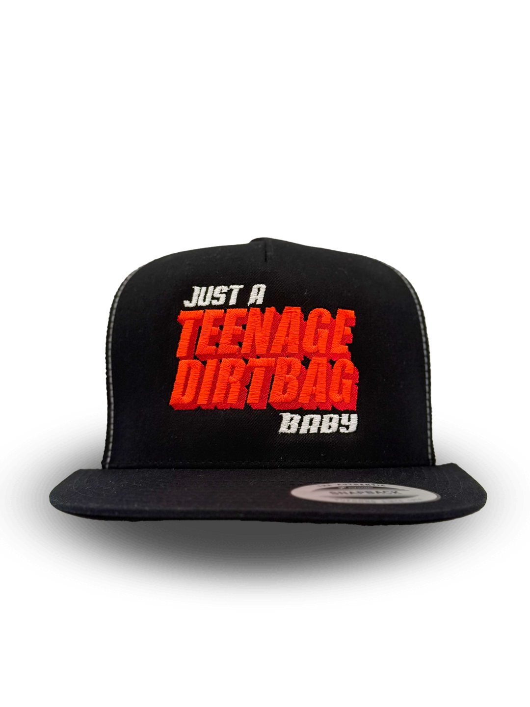 Just a Teenage Dirtbag Baby Hat