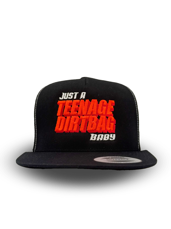 Just a Teenage Dirtbag Baby Hat