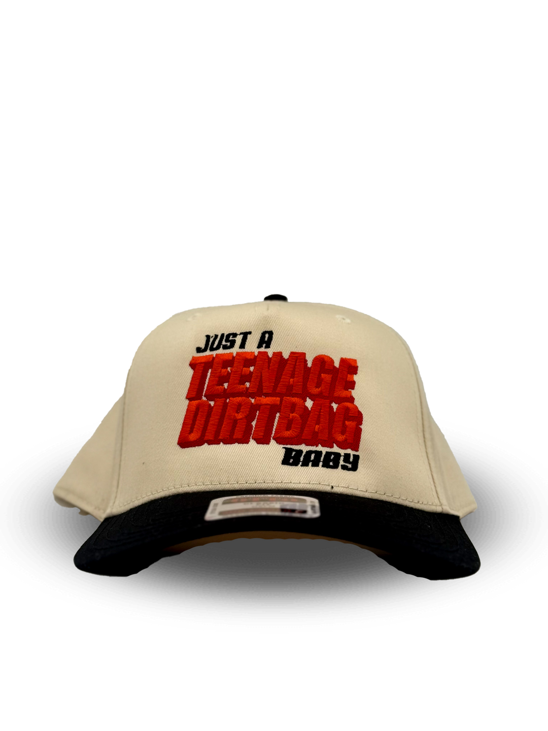 Just a Teenage Dirtbag Baby Hat